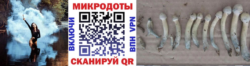 Галлюциногенные грибы MAGIC MUSHROOMS omg рабочий сайт Сусуман даркнет сайт